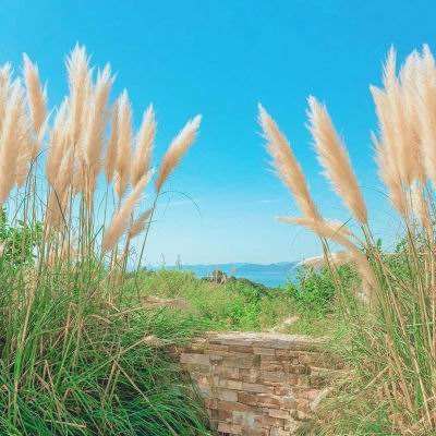 极品赛车2无敌版