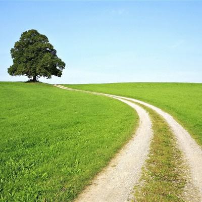 风暴雪犁车2无敌版